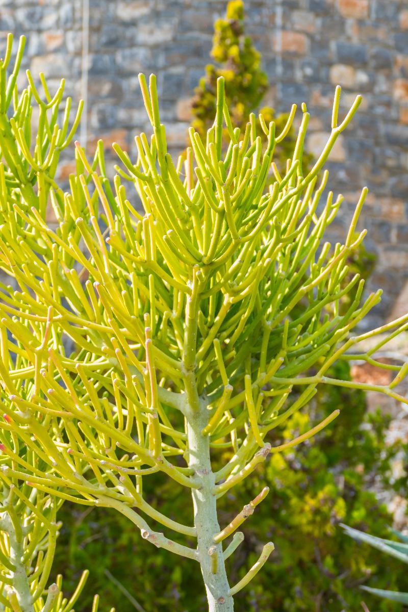 Elounda Sea View Villas Extérieur photo